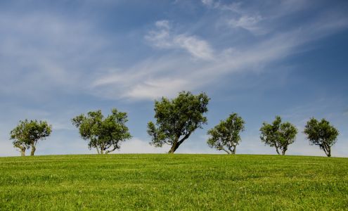 Green Beginning Community Preschool
