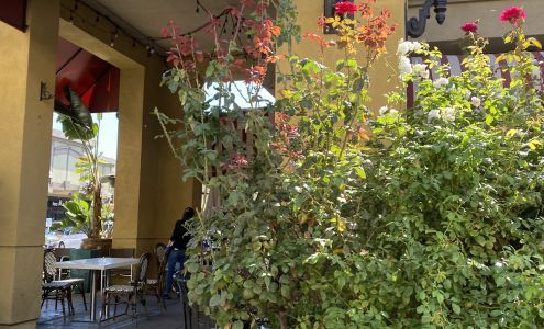 San Jose Vietnam Town