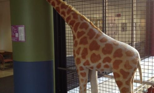 Pharmacy: UCSF Benioff Children's Hospital Oakland