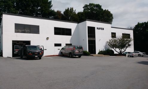 Hayes Instrument Services