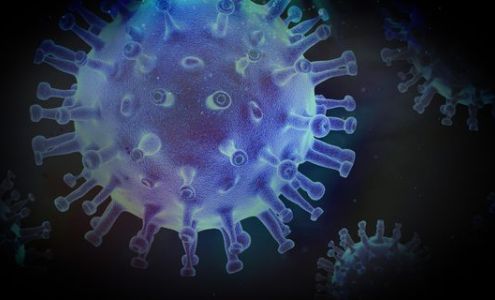 Immco Diagnostics