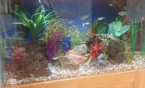 Providence Medical Institute Primary Care - West Hills