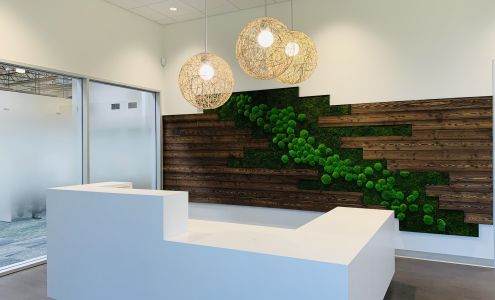 Vector Laboratories Inc