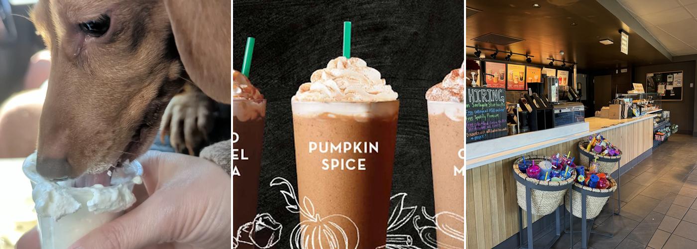 Starbucks Menu