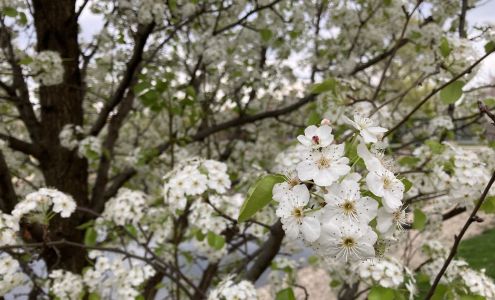 JOURNEYS | The Road Home