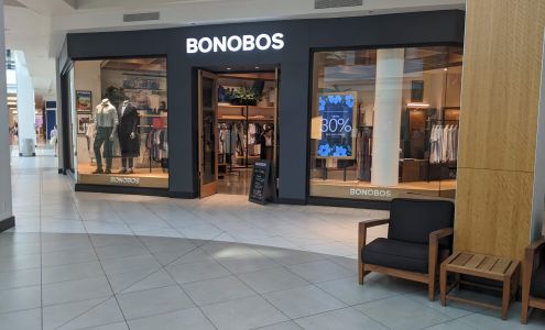 Bonobos