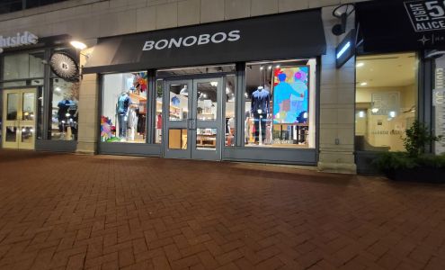 Bonobos