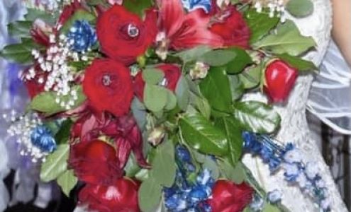 Elegance Bridal & Quinceañera Boutique