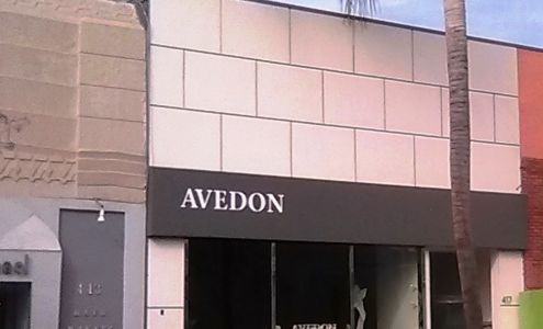 Avedon Inc