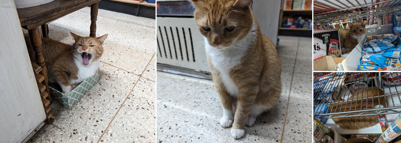 Mary's Deli Grocery Inc