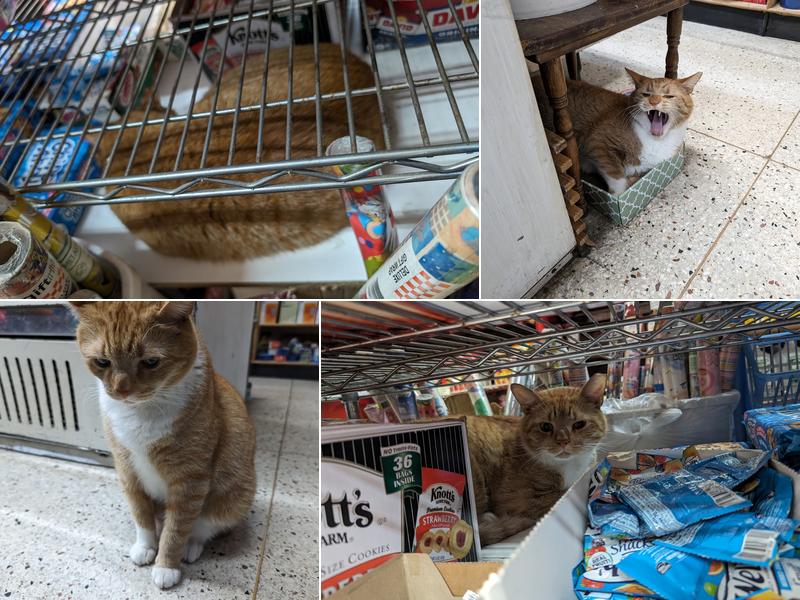 Mary's Deli Grocery Inc