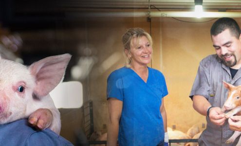 Christensen Family Farms Sleepy Eye