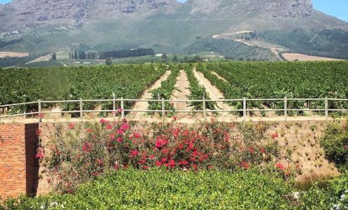 Okoboji Wines Iowa City