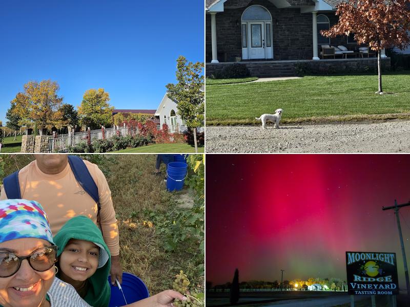 Moonlight Ridge Vineyard 8150 US-281, Grand Island