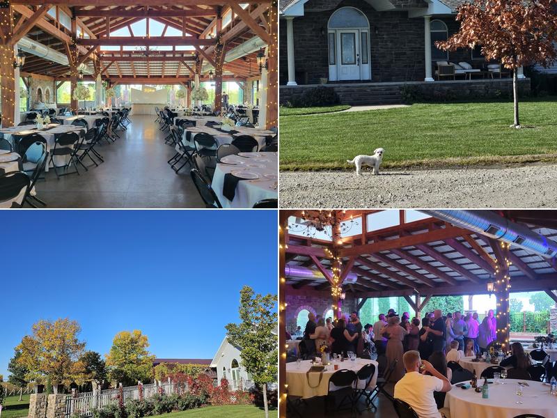 Moonlight Ridge Vineyard