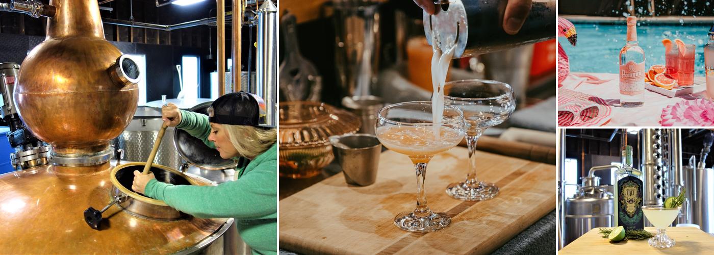 Thinking Tree Spirits