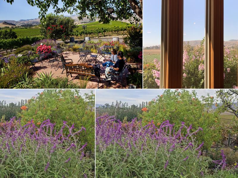 Wolff Vineyards 6238 Orcutt Rd, San Luis Obispo