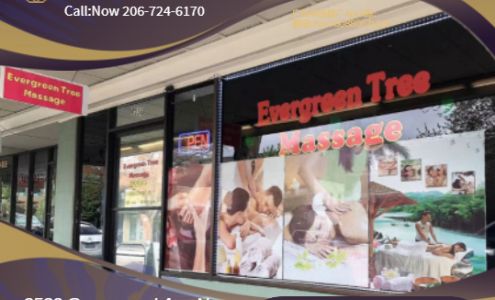 Evergreen Tree Massage