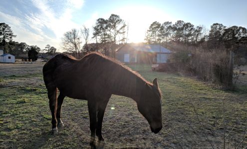 Jake's Variety Store