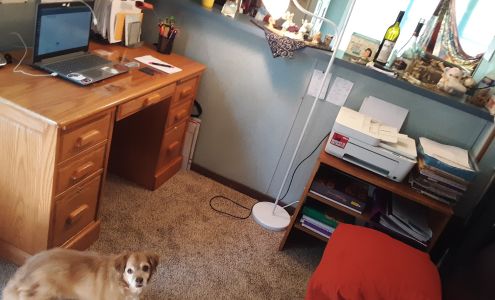 Home Again Furniture & Consignment