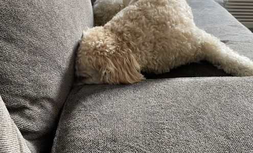 NW Gallery Furniture Warehouse