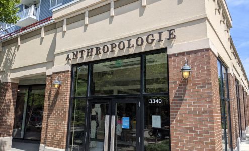 Anthropologie