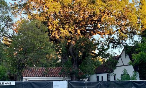 Jack London Kitchen & Bath -Redwood City