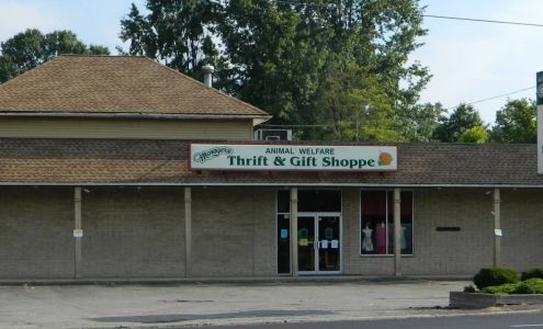 The Menagerie by AWL