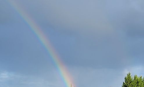 St. Vincent de Paul Society