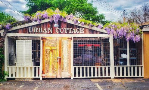 Urban Cottage