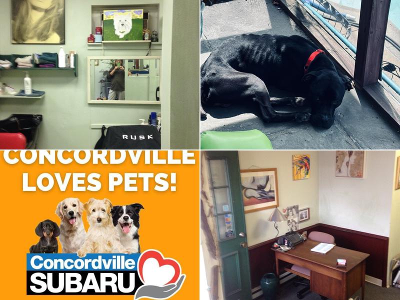 Denice Designs Hair Studio