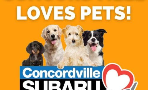 Denice Designs Hair Studio