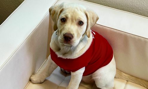 Susanna Nunn - State Farm Insurance Agent