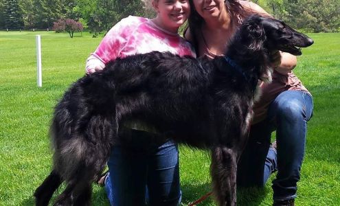 FURtastic Friends