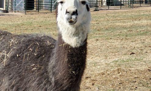 Edwards Foundation for Rescued Animals