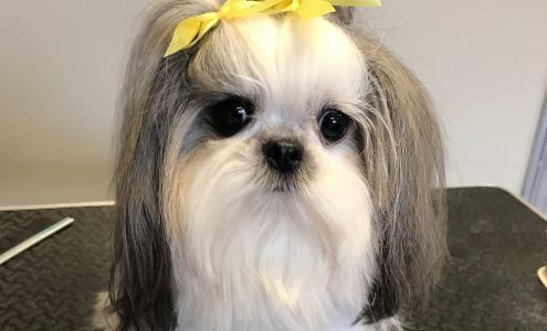 Groomingdales Pet Spa, LLC.