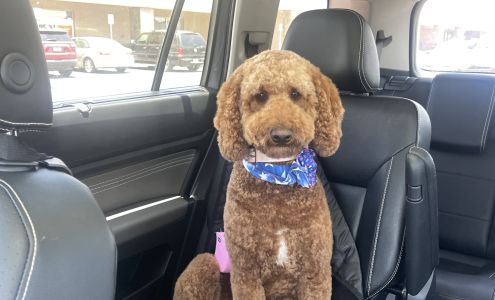 Teddy's Dog House 3906 W Ina Rd #204, Tucson