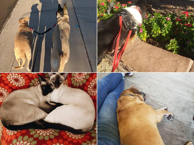 TLC While You're Away