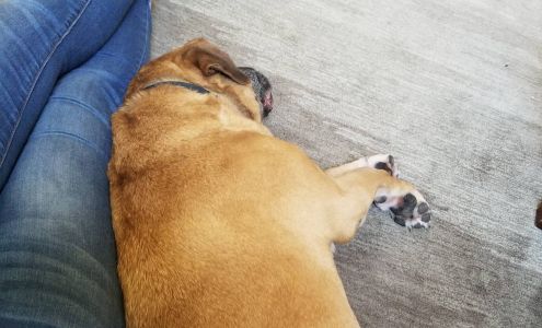 TLC While You're Away