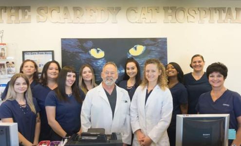 The Scaredy Cat Hospital