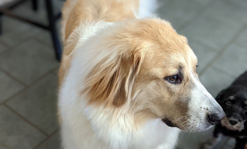 Groom Masters of Arkansas Inc