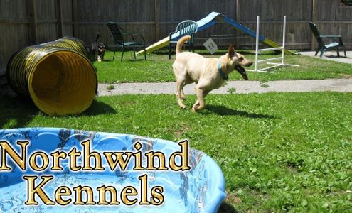 Northwind Kennels Bedford