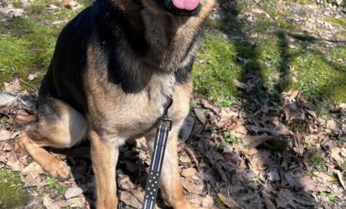 Vonbernd K9 Training Ctr LLC