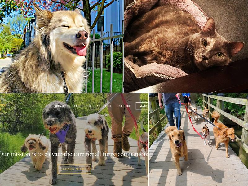 DC DOG SITTER | 'Where All Pets Become Family!'