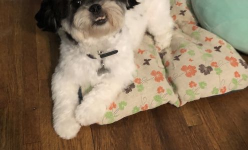 Professional Pet Grooming Salon LLC 1550I Central Park Ave, Yonkers