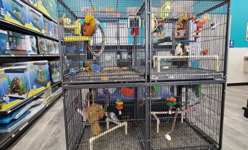 Pet Supermarket