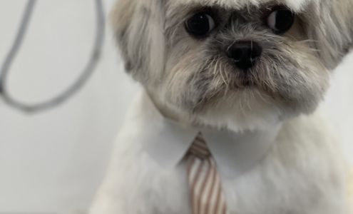 Nanas Spa And Boutique