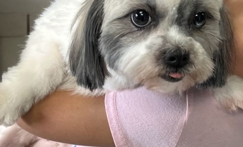 Kenny & Dolly's Grooming Place