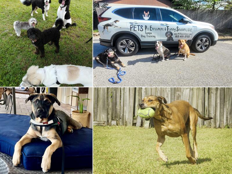 PETS Pet Enrichment and Training Solutions, LLC