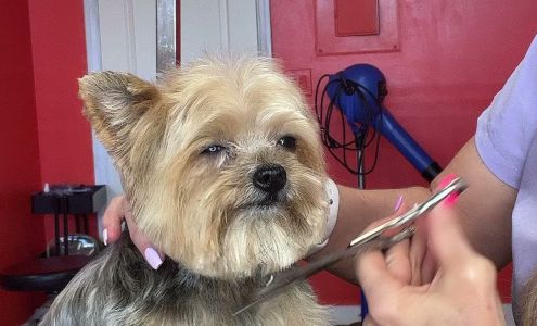 Tailwaggers Grooming